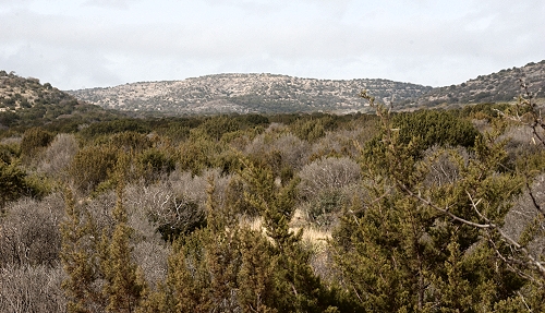 land for sale in texas by ranch enterprises