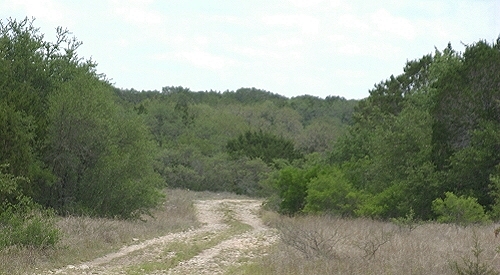 Texas ranches for sale - Leona Ranches In Texas. Texas ranches for sale - Leona