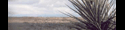 Western Texas Land for Sale